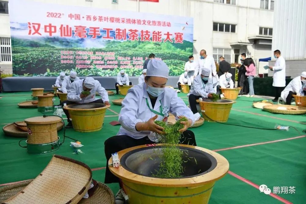 汉中茶产业:冠军产业、支柱产业、骨干支撑…